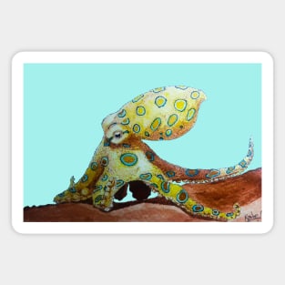 Blue-ringed Octopus Magnet